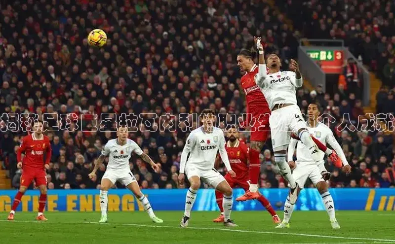 极悦app官网入口网易揭秘足球巨星拉瓦内利的职业生涯与个人成就