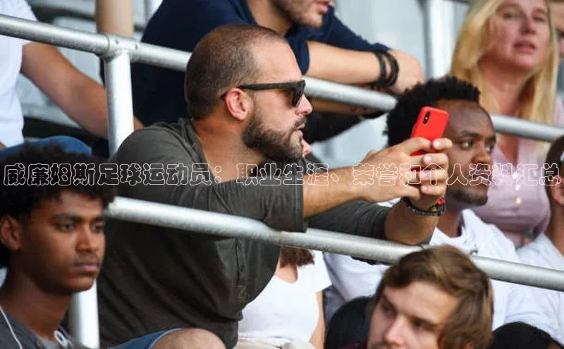 极悦平台官网app下载百度游戏开放平台威廉姆斯足球运动员：职业生涯、荣誉和个人资料汇总