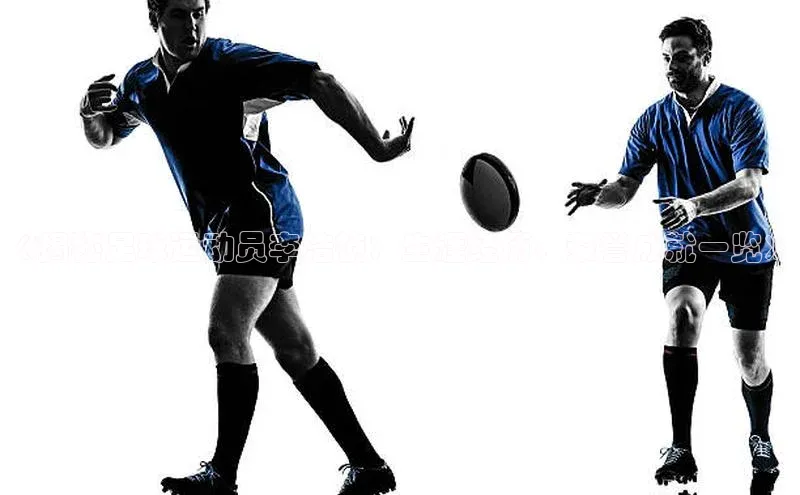 极悦娱乐网页版入口百度营销中心《揭秘足球运动员李浩祯：生涯经历、荣誉成就一览》