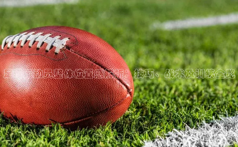 极悦娱乐平台百度百聘足球运动员整体位置感解析：技巧、战术及训练全览