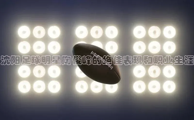 极悦官方网百度众测沈阳足球明星陶俊峰的绝佳表现和职业生涯