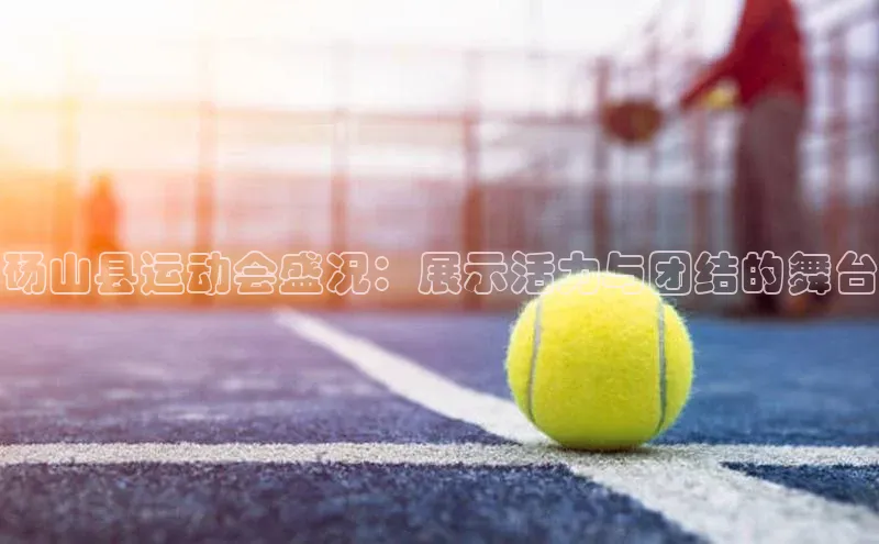 极悦app官网入口遥望科技砀山县运动会盛况：展示活力与团结的舞台