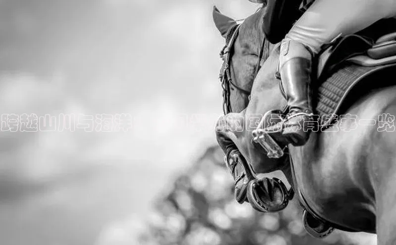 极悦游戏登录入口美团跨越山川与海洋：中国举办的国际体育盛事一览