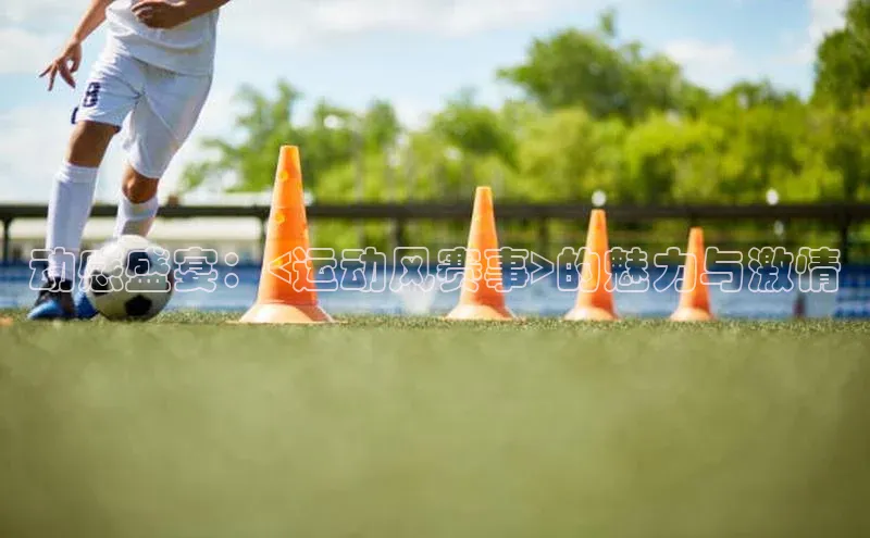 极悦注册阿里尔公司动感盛宴：<运动风赛事>的魅力与激情