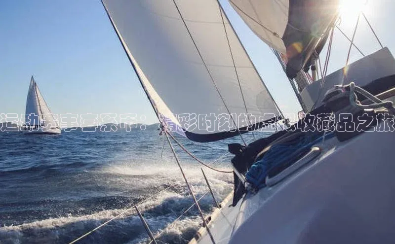 运动赛事套系币：精彩时刻的虚拟收藏品之旅