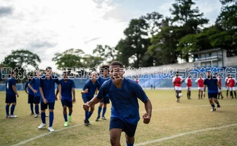 曹村镇学校运动赛事表数据概览与分析报告