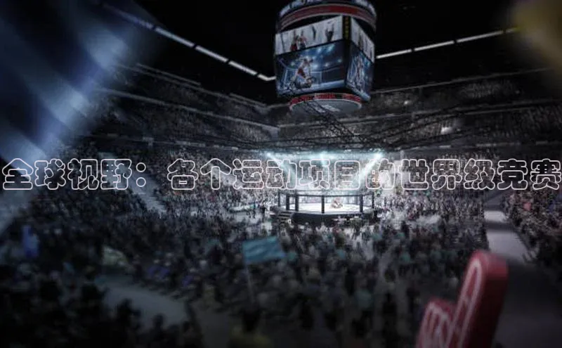 全球视野：各个运动项目的世界级竞赛