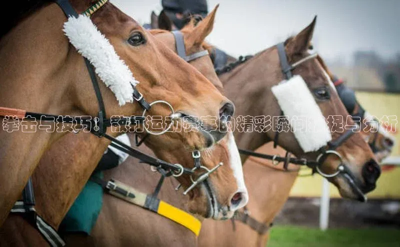拳击与技巧：散打运动赛事的精彩瞬间捕捉与分析