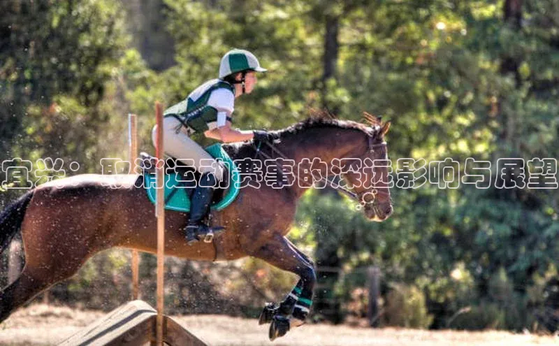 极悦app下载官网