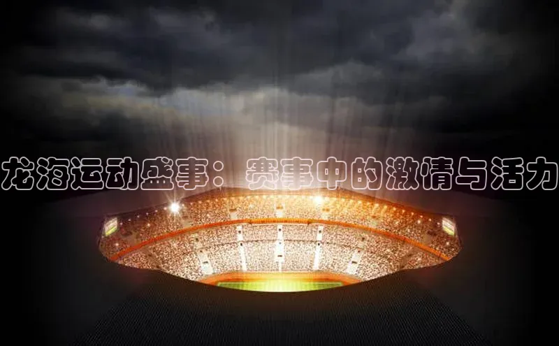 龙海运动盛事：赛事中的激情与活力