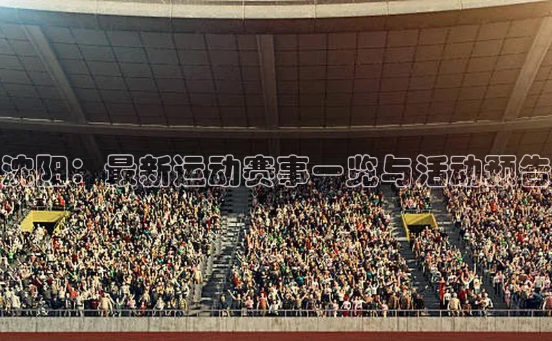 沈阳：最新运动赛事一览与活动预告