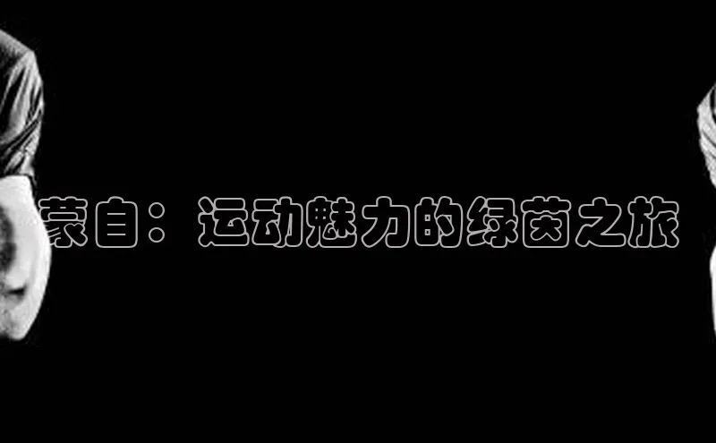 蒙自：运动魅力的绿茵之旅