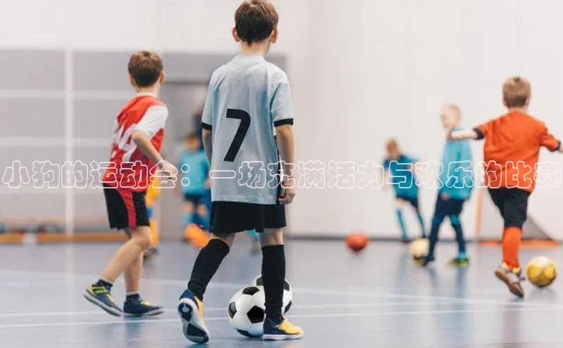 小狗的运动会：一场充满活力与欢乐的比赛