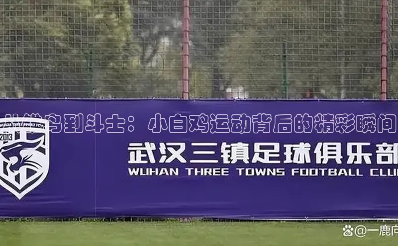 下载最新版悦平台